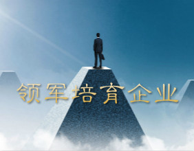 2020年天津市科技领军(培育)企业